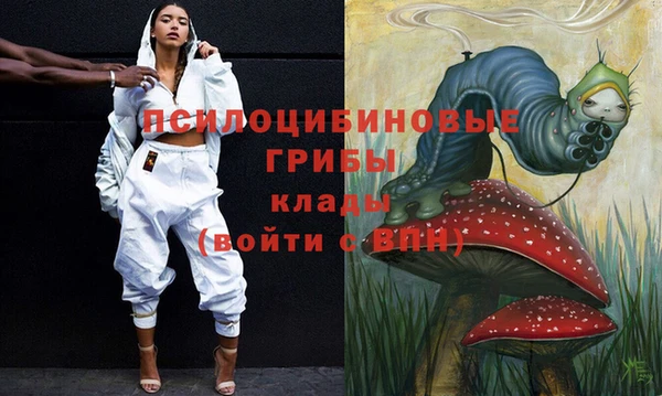 стаф Магас