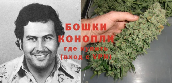 стаф Магас