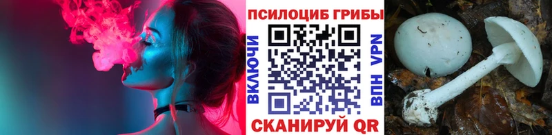 Галлюциногенные грибы мицелий mega как зайти Тверь